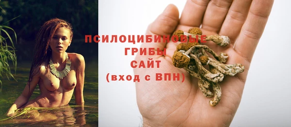 герыч Абаза