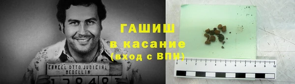 стафф Алзамай
