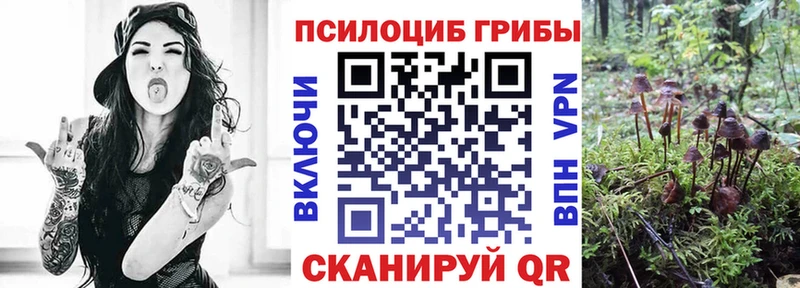 KRAKEN как зайти  закладка  Котельнич  Псилоцибиновые грибы ЛСД 